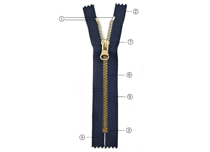 Structure Of Zippers